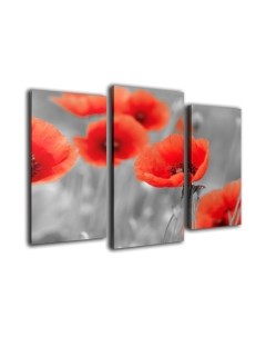 Картина модульная Arthata m-000559