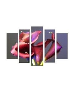 Картина модульная Arthata 5m-637