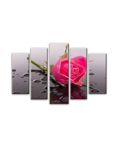 Картина модульная Arthata 5m-692