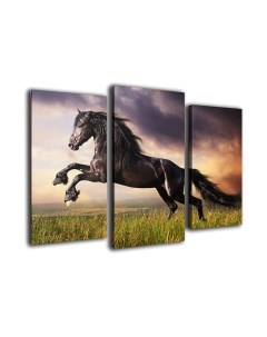 Картина модульная Arthata m-000316