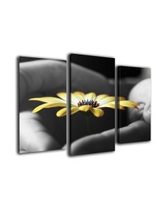 Картина модульная Arthata m-000504