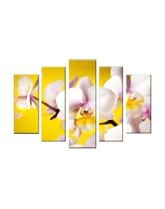 Картина модульная Arthata 5m-029