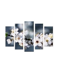 Картина модульная Arthata 5m-544