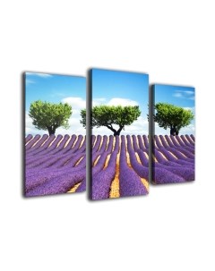 Картина модульная Arthata m-000337