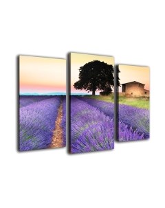 Картина модульная Arthata m-000335