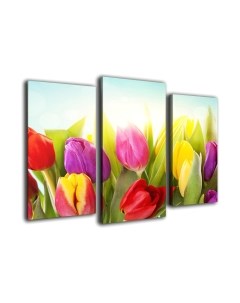 Картина модульная Arthata m-000432