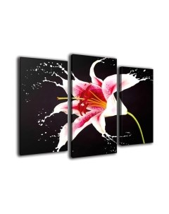 Картина модульная Arthata m-000292