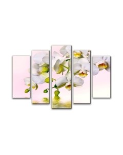 Картина модульная Arthata 5m-455