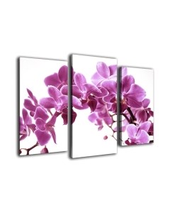 Картина модульная Arthata m-000579