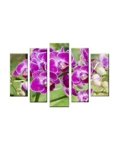 Картина модульная Arthata 5m-055