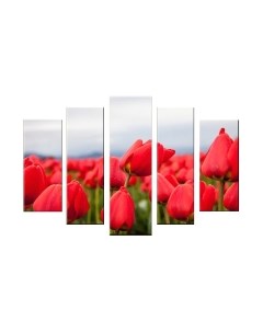 Картина модульная Arthata 5m-532