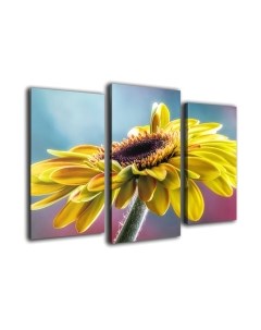 Картина модульная Arthata m-000424