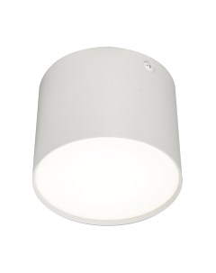 Потолочный светильник ESCADA 20004SMU/01LED SWH Escada