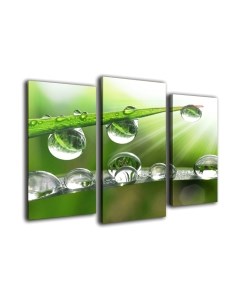 Картина модульная Arthata m-000155