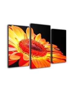 Картина модульная Arthata m-000487