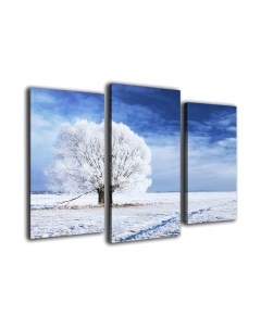 Картина модульная Arthata m-000345