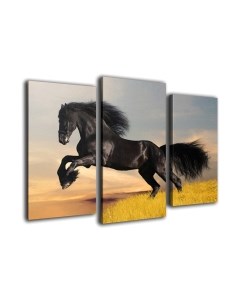 Картина модульная Arthata m-000321