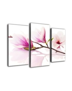 Картина модульная Arthata m-000253