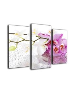 Картина модульная Arthata m-000242