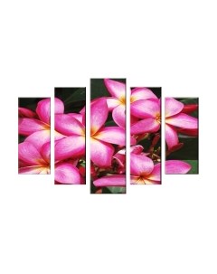 Картина модульная Arthata 5m-550