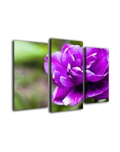 Картина модульная Arthata m-000201