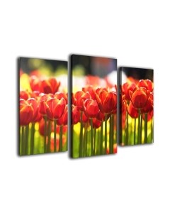 Картина модульная Arthata m-000510