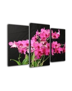 Картина модульная Arthata m-000306