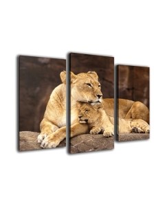 Картина модульная Arthata m-000147