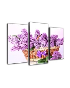 Картина модульная Arthata m-000340