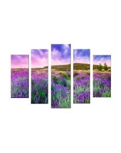 Картина модульная Arthata 5m-207