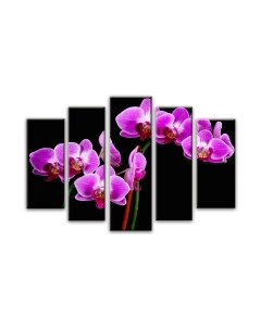 Картина модульная Arthata 5m-684