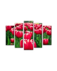 Картина модульная Arthata 5m-478