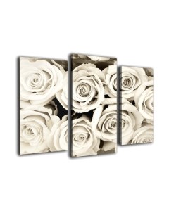 Картина модульная Arthata m-000564