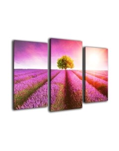 Картина модульная Arthata m-000165