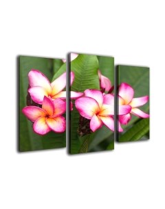 Картина модульная Arthata m-000222