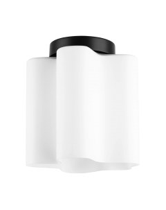 Потолочный светильник Lightstar Nubi 802017