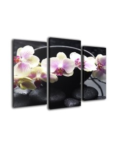 Картина модульная Arthata m-000503