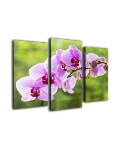 Картина модульная Arthata m-000464