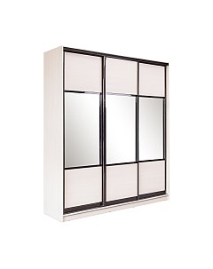 Шкаф-купе Евва 18 BBG.01 / АЭП ШК.3 03