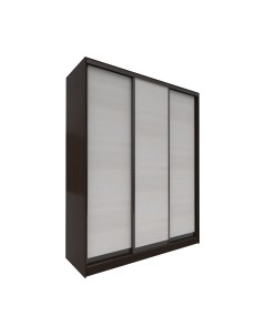 Шкаф-купе Евва 203 VHG.13 / АЭП ШК.3 02