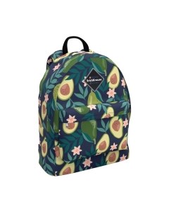 Школьный рюкзак Erich Krause EasyLine 17L Avocado Dusk / 51711 Erich krause