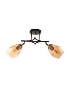 Потолочный светильник Aitin-Pro НПБ N4510/2 Aitin-pro