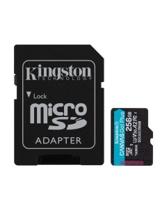 Карта памяти Kingston Canvas Go Plus microSDXC (Class10) 256GB (SDCG3/256GB)