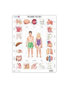 Развивающая игра LARSEN OB1 Larsen