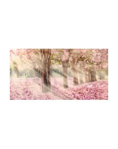 Фотообои листовые Citydecor Сказочная природа 5