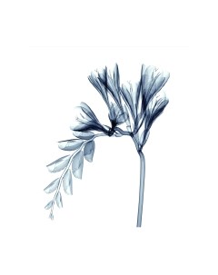 Скатерть JoyArty Странная растительность / tcox 14450 Joyarty