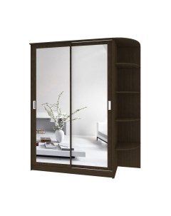 Шкаф-купе Кортекс-мебель Лагуна ШК05-02