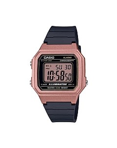 Часы наручные мужские Casio W-217HM-5AVEF