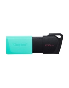 USB flash накопитель Kingston Data Traveler Exodia M 256GB (DTXM/256GB)