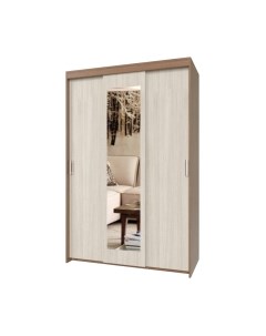 Шкаф-купе Томас Т32 Modern